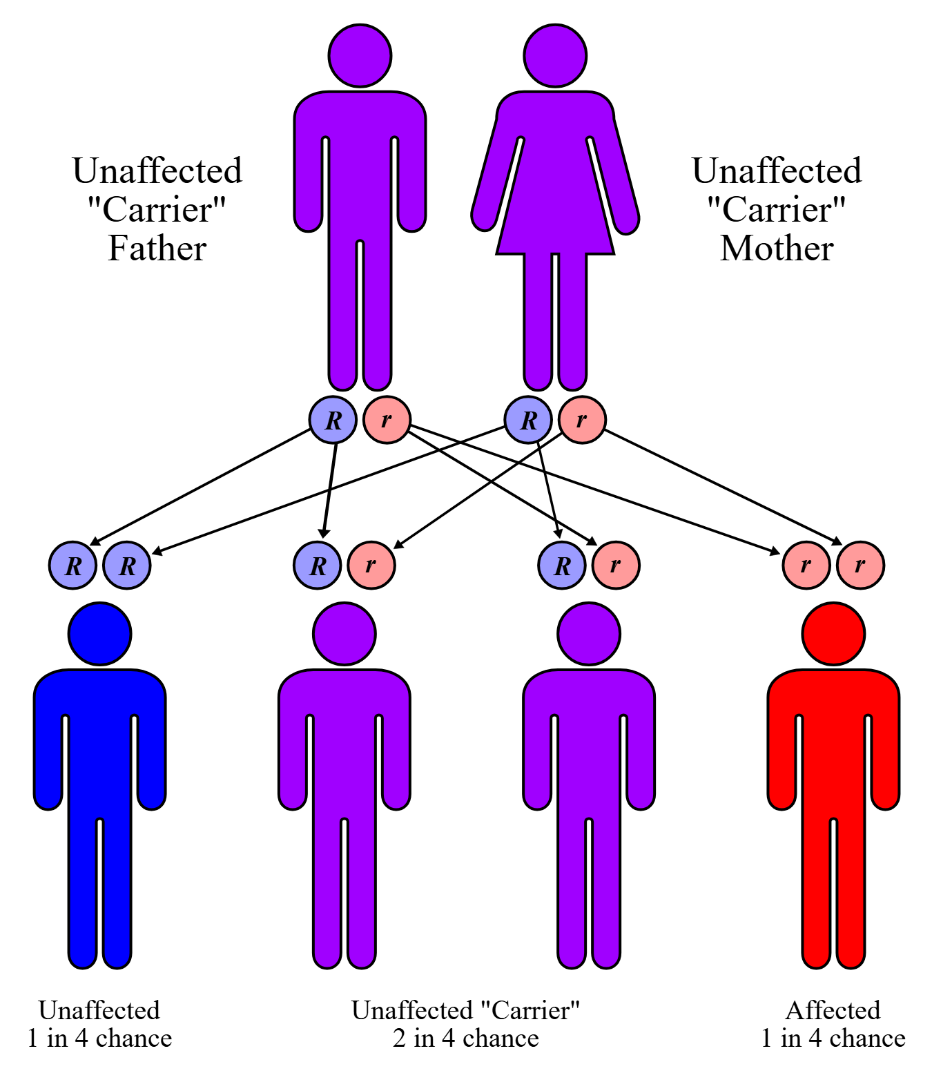 Inheritance diagram