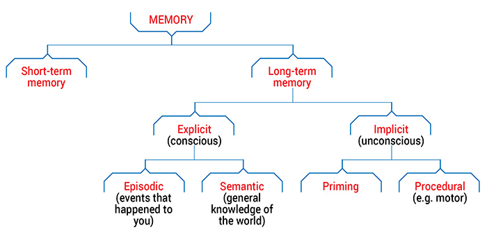 Learning & cognition1 study illustration